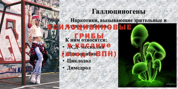 скорость Новозыбков