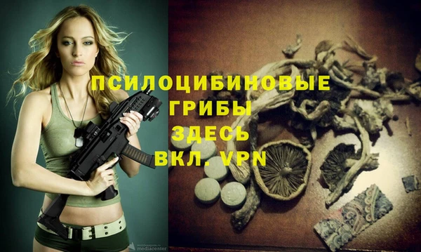 скорость Новозыбков