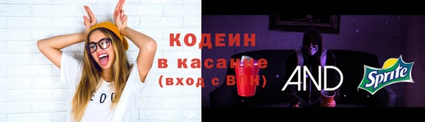 скорость Новозыбков