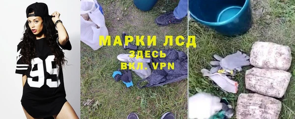 скорость Новозыбков