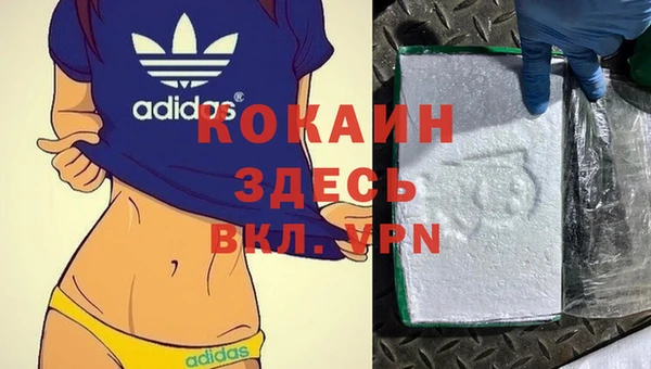 скорость Новозыбков