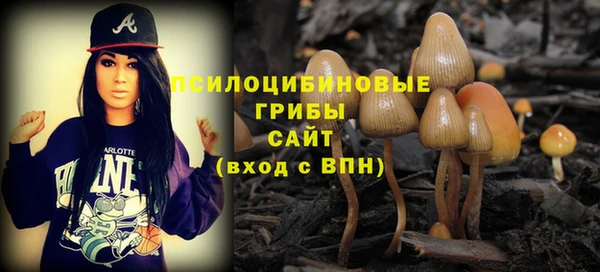 скорость Новозыбков