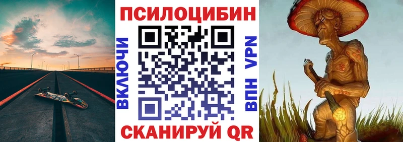 Псилоцибиновые грибы Psilocybe  где купить наркоту  Серафимович 